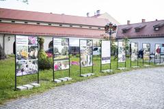 Zdjęcie 8
