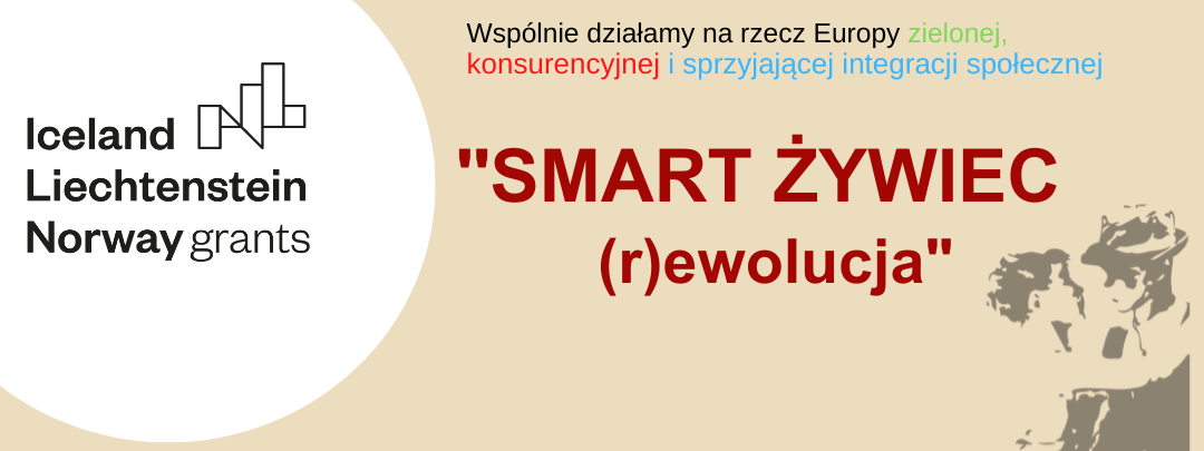 Partner projektu Szkoła Tańca Swing