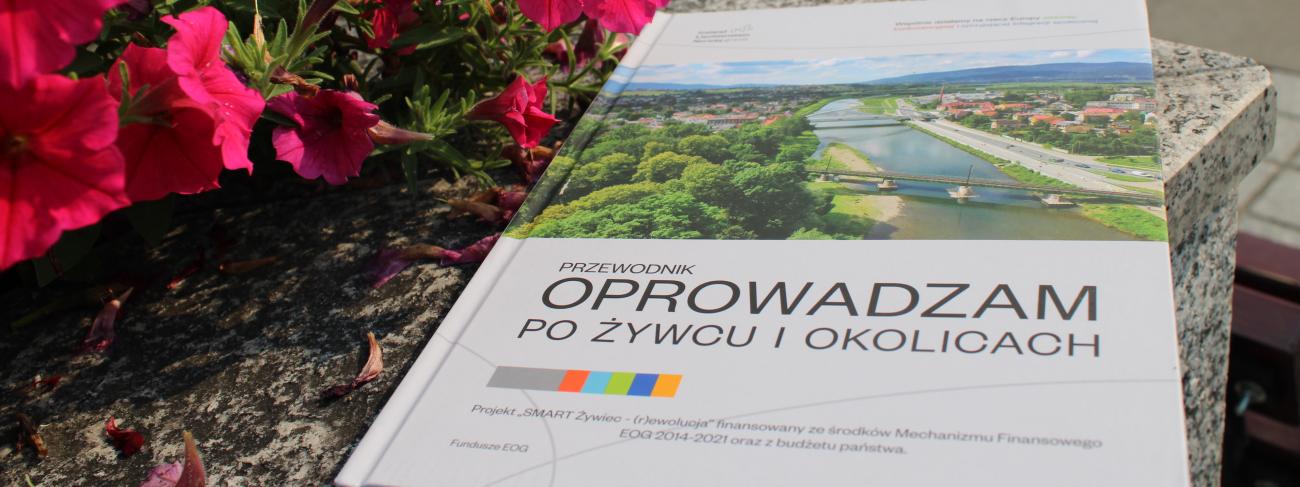 Oprowadzam